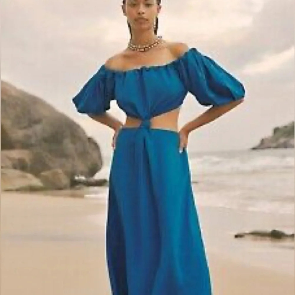 Farm Rio Blue Dress - Picture 4 of 4